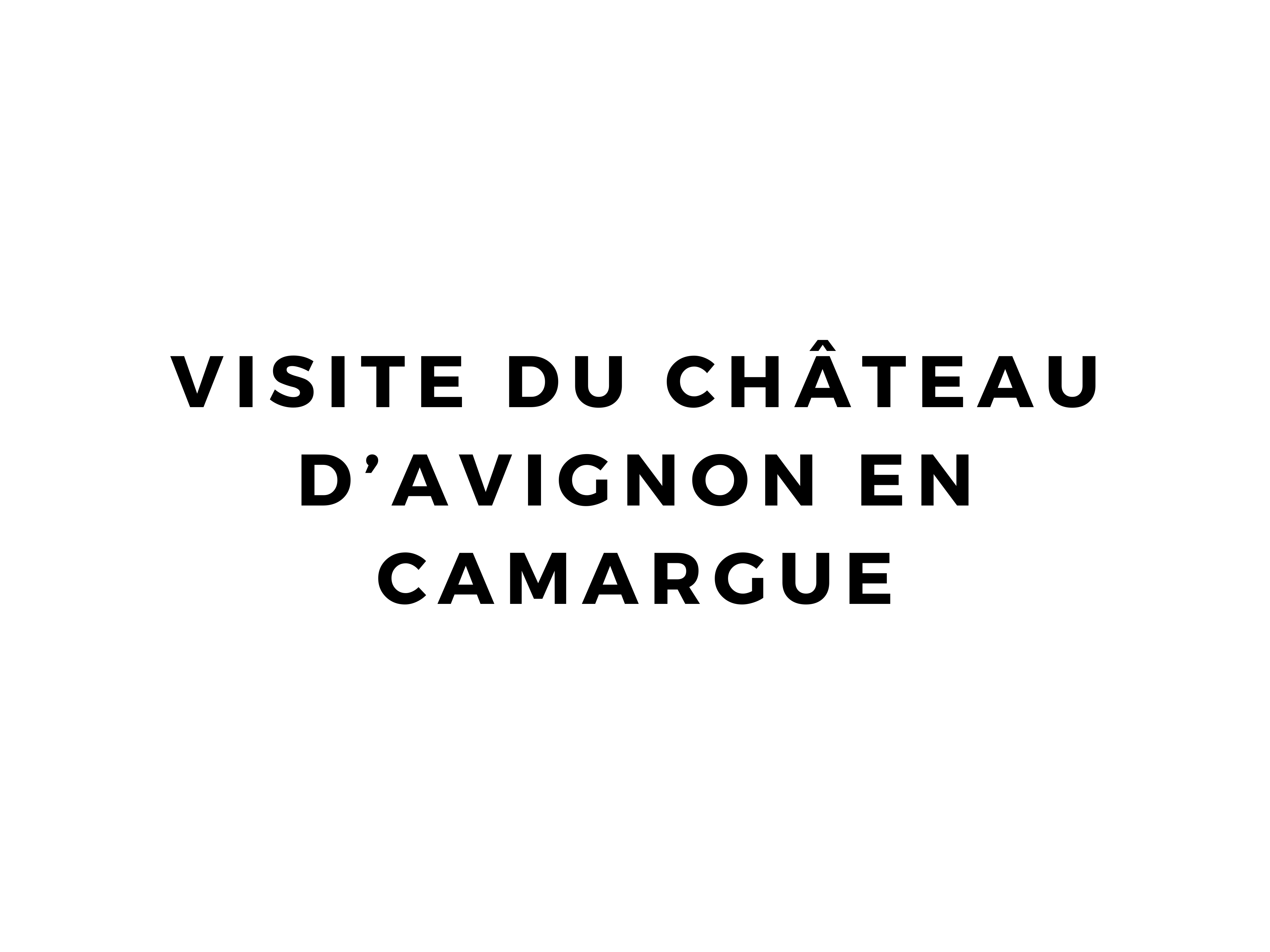 visite du château d'avignon en camargue